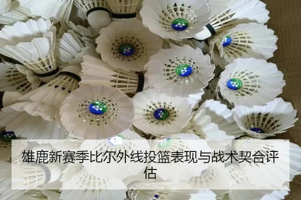 xiong-lu-xin-sai-ji-bi-er-wai-xian-tou-lan-biao-xian-yu-zhan-shu-qi-he-ping-gu-2-294.jpg